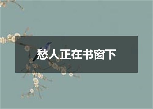 愁人正在书窗下