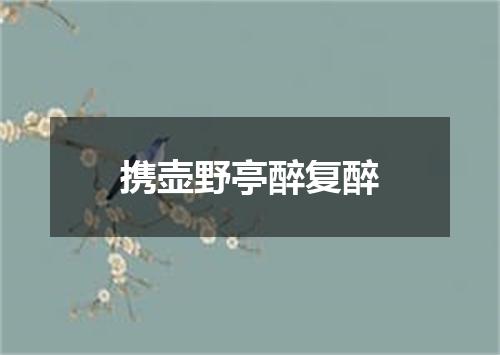 携壶野亭醉复醉