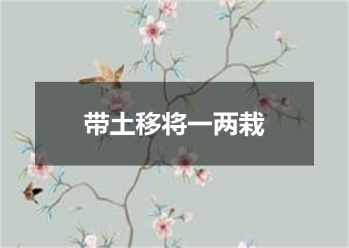 带土移将一两栽