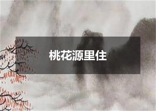 桃花源里住
