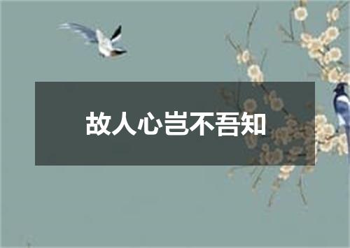 故人心岂不吾知