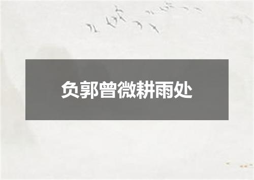 负郭曾微耕雨处