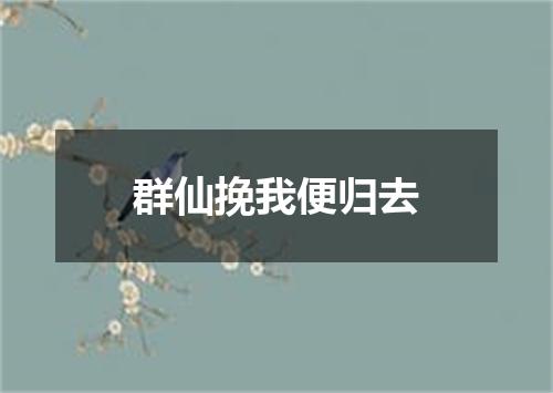 群仙挽我便归去