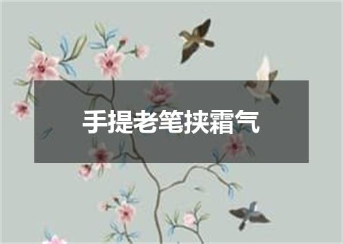 手提老笔挟霜气