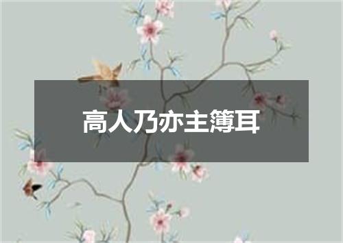 高人乃亦主簿耳