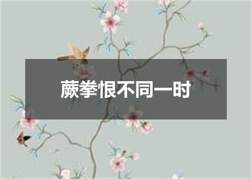 蕨拳恨不同一时