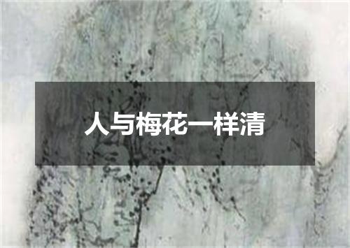 人与梅花一样清