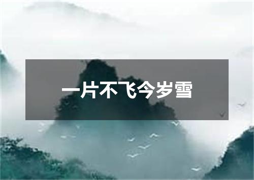 一片不飞今岁雪