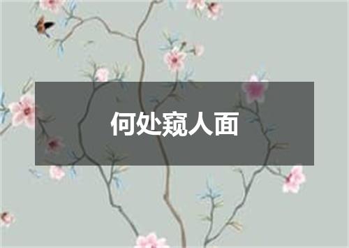何处窥人面