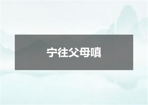 宁往父母嗔
