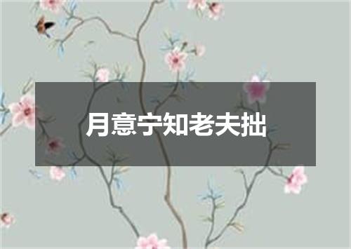 月意宁知老夫拙