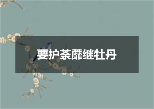 要护荼蘼继牡丹