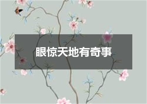 眼惊天地有奇事