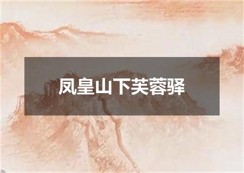 凤皇山下芙蓉驿