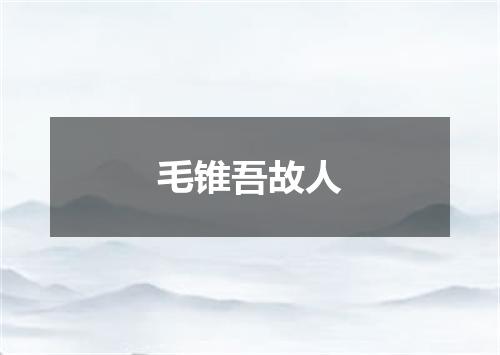 毛锥吾故人