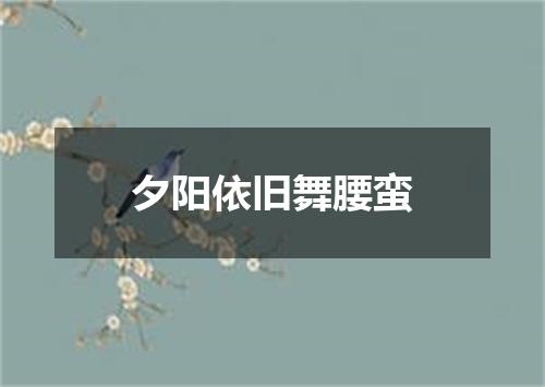 夕阳依旧舞腰蛮