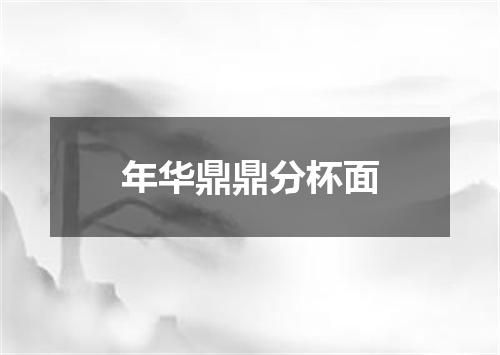 年华鼎鼎分杯面