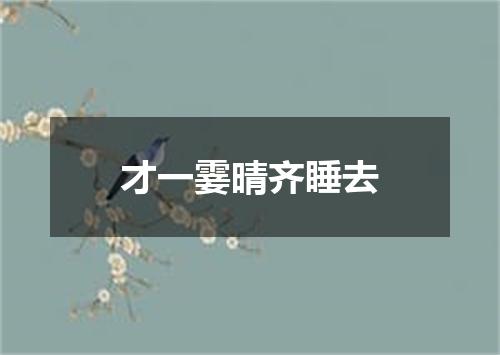 才一霎晴齐睡去