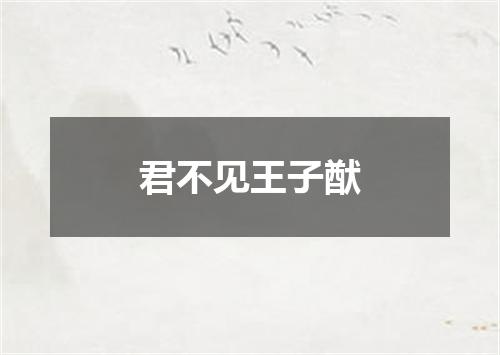 君不见王子猷