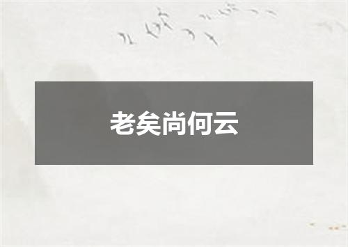 老矣尚何云