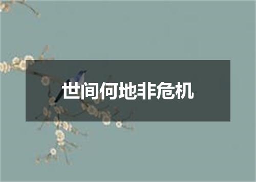 世间何地非危机