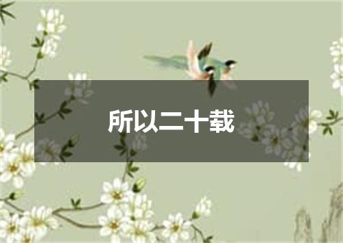 所以二十载