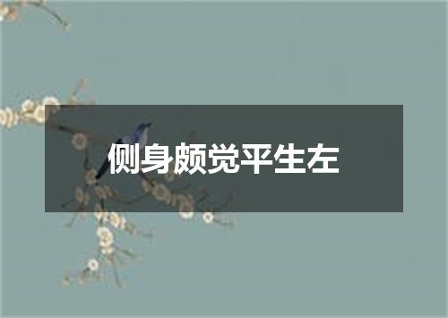 侧身颇觉平生左