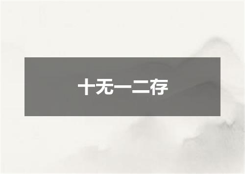 十无一二存