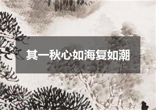 其一秋心如海复如潮