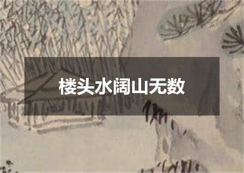 楼头水阔山无数