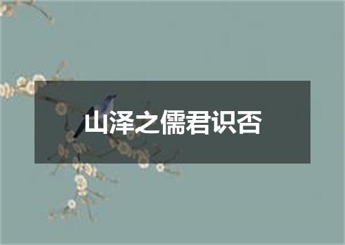 山泽之儒君识否
