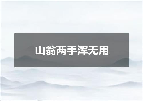 山翁两手浑无用
