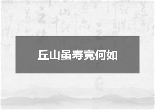 丘山虽寿竟何如