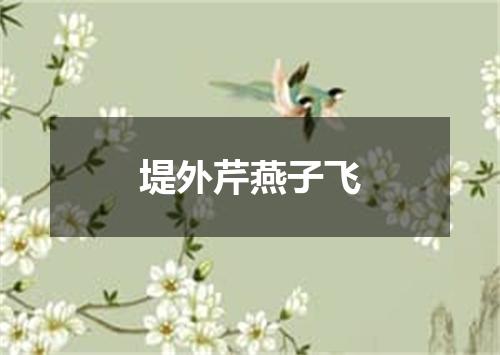 堤外芹燕子飞