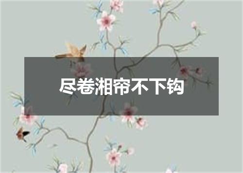 尽卷湘帘不下钩