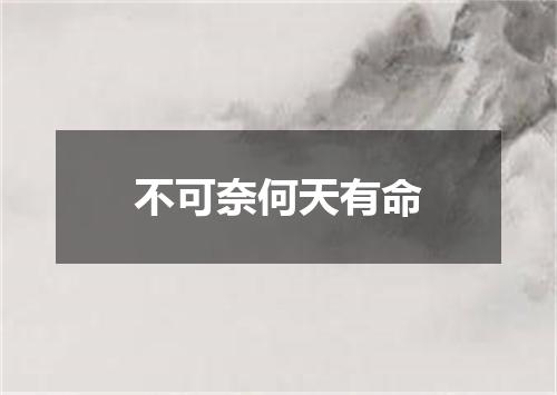 不可奈何天有命