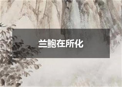兰鲍在所化