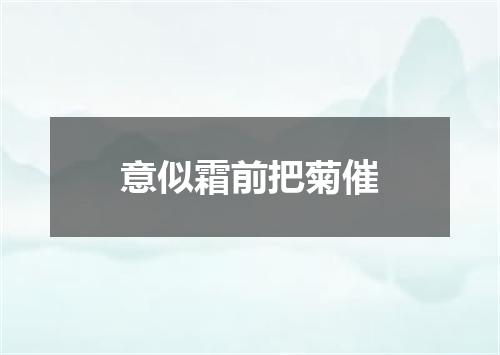 意似霜前把菊催