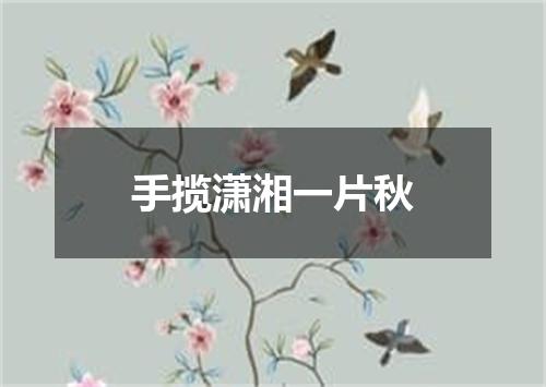 手揽潇湘一片秋