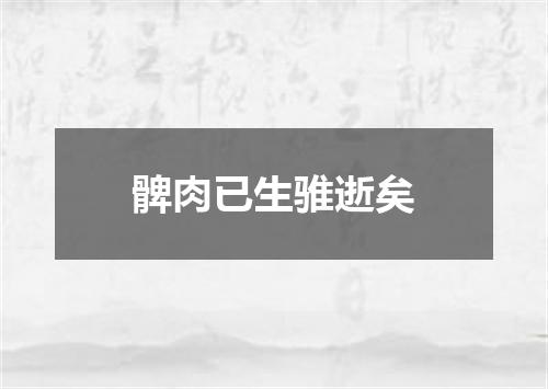 髀肉已生骓逝矣