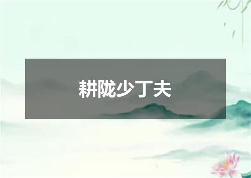 耕陇少丁夫
