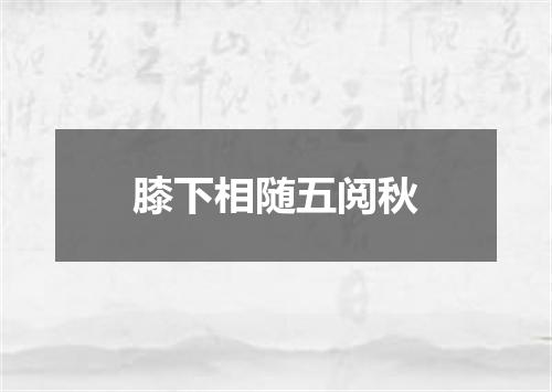膝下相随五阅秋