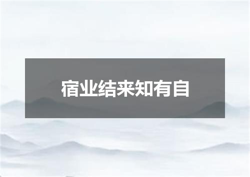 宿业结来知有自