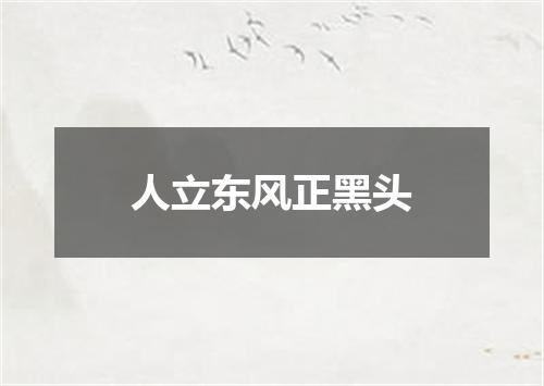 人立东风正黑头