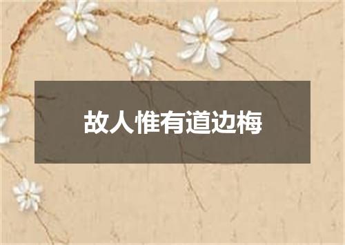 故人惟有道边梅
