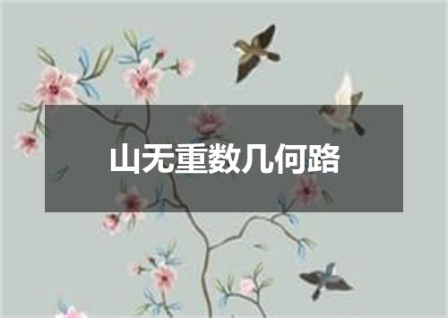 山无重数几何路