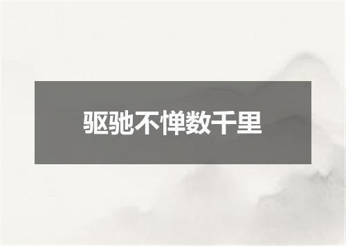驱驰不惮数千里
