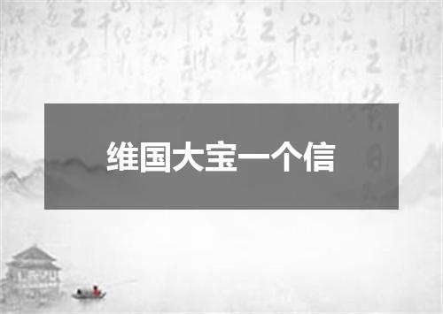 维国大宝一个信