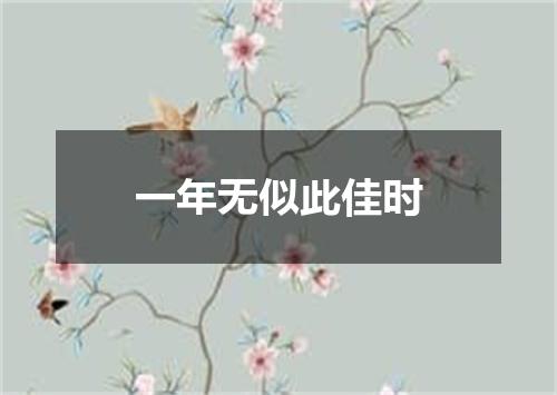 一年无似此佳时