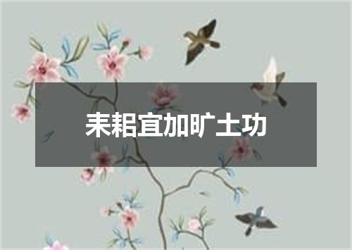 耒耜宜加旷土功